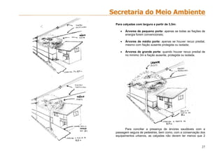 27
Para calçadas com largura a partir de 3,5m:
 Árvores de pequeno porte: apenas se todas as fiações de
energia forem convencionais;
 Árvores de médio porte: apenas se houver recuo predial,
mesmo com fiação ausente protegida ou isolada;
 Árvores de grande porte: quando houver recuo predial de
no mínimo 3m e fiação ausente, protegida ou isolada.
Para conciliar a presença de árvores saudáveis com a
passagem segura de pedestres, bem como, com a conservação dos
equipamentos urbanos, as calçadas não devem ter menos que 2
 