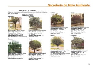 30
INDICAÇÕES DE ESPÉCIES
Algumas espécies consideradas indicadas para plantio em calçadas
sob fiação aérea:
PEQUENO PORTE
Espirradeira Marinheiro
Nome Científico: Nerium oleander Nome Científico: Trichilia cathartica
Altura Média da Árvore: 4 - 6 m Altura Média da Árvore:4 - 6 m
Floração: Época - Out a Abr Floração: Época - Mai a Jul
Cor - Rosa, Vermelha e Branca Cor - Branca
Diâmetro Médio da Copa: 3 m Diâmetro Médio da Copa: 4 m
Obs: Planta Exótica e possui toxicidade. Obs: Planta Nativa.
Calistemo Murta
Nome Científico: Callistemon atrinus Nome Científico: Callistemon atrinus
Altura Média da Árvore:3 - 5 m Altura Média da Árvore:3 - 5 m
Floração:Época - Set a Nov Floração:Época - Out a Jan
Cor - Vermelha Cor -Branca
Diâmetro Médio da Copa: 2 m Diâmetro Médio da Copa: 4 m
Obs: Planta Exótica.
Ipê Mirim Resedá
Nome Científico: Stenolobium stans Nome Científico: Lagerstroemia indica
Altura Média da Árvore:5 - 7 m Altura Média da Árvore:4 - 6 m
Floração:Época - Jan a Mai Floração: Época - Out a Abr
Cor - Amarela Cor – Branca, Rosa e Lilás
Diâmetro Médio da Copa: 4 m Diâmetro Médio da Copa: 3 m
Obs: Planta Nativa. Obs: Planta Exótica.
Hibisco Candelabro
Nome Científico:Hibiscus rosa-sinensis Nome Científico: Erytrina speciosa
Altura Média da Árvore: 3 - 5 m Altura Média da Árvore: 4 - 6 m
Floração: Época - Jan a Dez Floração: Época - Jun a Set
Cor - Rosa, Vermelha, Amarela e Branca Cor - Vermelha
Diâmetro Médio da Copa: 3 m Diâmetro Médio da Copa: 5 m
Obs: Planta Exótica. Obs: Planta Nativa.
 