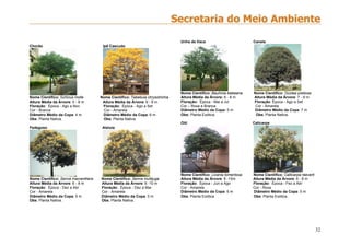 32
Chorão Ipê Cascudo
Nome Científico: Schinus molle Nome Científico: Tabebuia chrysotrichia
Altura Média da Árvore: 5 - 8 m Altura Média da Árvore: 6 - 8 m
Floração: Época - Ago a Nov Floração: Época - Ago a Set
Cor - Branca Cor - Amarela
Diâmetro Médio da Copa: 4 m Diâmetro Médio da Copa: 6 m
Obs: Planta Nativa. Obs: Planta Nativa.
Fedegoso Aleluia
Nome Científico: Senna macranthera Nome Científico: Senna multijuga
Altura Média da Árvore: 6 - 8 m Altura Média da Árvore: 6 -10 m
Floração: Época - Dez a Abr Floração: Época - Dez a Mar
Cor - Amarela Cor - Amarela
Diâmetro Médio da Copa: 5 m Diâmetro Médio da Copa: 5 m
Obs: Planta Nativa. Obs: Planta Nativa.
Unha de Vaca Canela
Nome Científico: Bauhinia blakeana Nome Científico: Ocotea pretiosa
Altura Média da Árvore: 6 - 8 m Altura Média da Árvore: 7 - 9 m
Floração: Época - Mai a Jul Floração: Época - Ago a Set
Cor – Roxa e Branca Cor - Amarela
Diâmetro Médio da Copa: 5 m Diâmetro Médio da Copa: 7 m
Obs: Planta Exótica. Obs: Planta Nativa.
Oiti Calicarpa
Nome Científico: Licania tomentosa Nome Científico: Callicarpa reeverti
Altura Média da Árvore: 8 -15m Altura Média da Árvore: 6 - 8 m
Floração: Época - Jun a Ago Floração: Época - Fez a Abr
Cor - Amarela Cor - Roxa
Diâmetro Médio da Copa: 6 m Diâmetro Médio da Copa: 5 m
Obs: Planta Exótica. Obs: Planta Exótica.
 