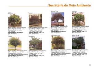 11
Ipê Mirim Resedá
Nome Científico: Stenolobium stans Nome Científico: Lagerstroemia indica
Altura Média da Árvore:5 - 7 m Altura Média da Árvore:4 - 6 m
Floração:Época - Jan a Mai Floração: Época - Out a Abr
Cor - Amarela Cor – Branca, Rosa e Lilás
Diâmetro Médio da Copa: 4 m Diâmetro Médio da Copa: 3 m
Obs: Planta Nativa. Obs: Planta Exótica.
Hibisco Candelabro
Nome Científico:Hibiscus rosa-sinensis Nome Científico: Erytrina speciosa
Altura Média da Árvore: 3 - 5 m Altura Média da Árvore: 4 - 6 m
Floração: Época - Jan a Dez Floração: Época - Jun a Set
Cor - Rosa, Vermelha, Amarela e Branca Cor - Vermelha
Diâmetro Médio da Copa: 3 m Diâmetro Médio da Copa: 5 m
Obs: Planta Exótica. Obs: Planta Nativa.
Grevilha Anã Astrapéia
=
Nome Científico: Grevilea banksii Nome Científico: Dombeya wallichii
Altura Média da Árvore: 3 - 5 m Altura Média da Árvore: 4 - 6 m
Floração: Época - Set a Abr Floração: Época - Jul a Set
Cor - Vermelha Cor - Rosa e Branca
Diâmetro Médio da Copa: 3 m Diâmetro Médio da Copa: 4 m
Obs: Planta Exótica. Obs: Planta Exótica.
Flamboyant Mirim Jasmin Manga
Nome Científico: Caesalpinia pulcherrima Nome Científico: Plumeria rubra
Altura Média da Árvore: 3 - 5 m Altura Média da Árvore: 6 - 7 m
Floração: Época - Set a Mai Floração: Época - Out a Abr
Cor - Rosa, Vermelha, Amarela e Branca Cor - Rosa, Vermelha e Branca
Diâmetro Médio da Copa: 3 m Diâmetro Médio da Copa: 3 m
Obs: Planta Nativa. Obs: Planta Exótica.
 