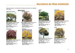 12
Algumas espécies consideradas indicadas para plantio em calçadas
sem fiação:
MÉDIO PORTE
Cássia Chuva de Ouro Escumilha Africana
Nome Científico: Cassia ferruginea Nome Científico: Lagerstroemia speciosa
Altura Média da Árvore: 7 - 9 m Altura Média da Árvore: 7 - 9 m
Floração: Época - Dez a Mar Floração: Época - Out a Mar
Cor - Amarela Cor – Rosa e Lilás
Diâmetro Médio da Copa: 6 m Diâmetro Médio da Copa: 6 m
Obs: Planta Exótica. Obs: Planta Exótica.
Quaresmeira Canafístula
Nome Científico: Tibouchina granulosa Nome Científico: Cassia fistula
Altura Média da Árvore: 6 - 8 m Altura Média da Árvore: 7 - 9 m
Floração: Época - Dez a Jul Floração: Época - Dez a Abr
Cor – Roxa e Rosa Cor - Amarela
Diâmetro Médio da Copa: 5 m Diâmetro Médio da Copa: 4 m
Obs: Planta Nativa. Obs: Planta Nativa
Chorão Ipê Cascudo
Nome Científico: Schinus molle Nome Científico: Tabebuia chrysotrichia
Altura Média da Árvore: 5 - 8 m Altura Média da Árvore: 6 - 8 m
Floração: Época - Ago a Nov Floração: Época - Ago a Set
Cor - Branca Cor - Amarela
Diâmetro Médio da Copa: 4 m Diâmetro Médio da Copa: 6 m
Obs: Planta Nativa. Obs: Planta Nativa.
Fedegoso Aleluia
Nome Científico: Senna macranthera Nome Científico: Senna multijuga
Altura Média da Árvore: 6 - 8 m Altura Média da Árvore: 6 -10 m
Floração: Época - Dez a Abr Floração: Época - Dez a Mar
Cor - Amarela Cor - Amarela
Diâmetro Médio da Copa: 5 m Diâmetro Médio da Copa: 5 m
Obs: Planta Nativa. Obs: Planta Nativa.
 