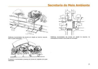 29
Distâncias recomendadas das árvores em relação ao meio-fio, boca-de-
lobo e a guias rebaixadas.
É possível e recomendada a presença de árvores em calçadas com guias
rebaixadas
Distâncias recomendadas das árvores em relação às esquinas, às
sinalizações de trânsito e aos postes de iluminação.
.
 