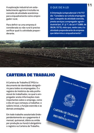 CARTEIRA DE TRABALHO
A exploração industrial em esta-
belecimento agrário é incluída no
conceito de atividade econômica
para enquadramento como empre-
gador rural.
Para definir se uma empresa é
considerada ou não rural é preciso
verificar qual é a atividade prepon-
derante.
A Carteira de Trabalho (CTPS) é o
documento de identidade obrigató-
rio para todos os empregados. É o
registro do histórico da vida profis-
sional do trabalhador, no qual o em-
pregador anota informações mais
importantes sobre o emprego, como
o dia em que começou a trabalhar, o
salário inicial, a função exercida e as
demais anotações.
Em todo trabalho assalariado (inde-
pendentemente se o pagamento é
mensal, quinzenal, diário ou então
por produção ou hora) é obrigatório
o registro na Carteira de Trabalho.
11
A Orientação Jurisprudencial 419/TST
diz: “Considera-se rurícola empregado
que, a despeito da atividade exercida,
presta serviços a empregador agroin-
dustrial (art. 3º, § 1º, da Lei nº 5.889, de
08.06.1973), visto que, neste caso, é a
atividade preponderante da empresa
que determina o enquadramento”.
O QUE DIZ A LEI
 