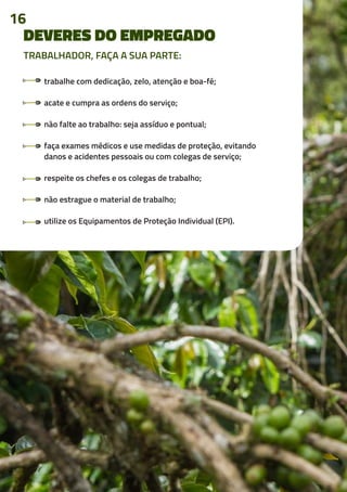 DEVERES DO EMPREGADO
trabalhe com dedicação, zelo, atenção e boa-fé;
acate e cumpra as ordens do serviço;
não falte ao trabalho: seja assíduo e pontual;
faça exames médicos e use medidas de proteção, evitando
danos e acidentes pessoais ou com colegas de serviço;
respeite os chefes e os colegas de trabalho;
não estrague o material de trabalho;
utilize os Equipamentos de Proteção Individual (EPI).
TRABALHADOR, FAÇA A SUA PARTE:
16
 