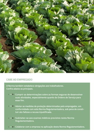 A Norma também estabelece obrigações aos trabalhadores.
Confira abaixo as principais.
Cumprir as determinações sobre as formas seguras de desenvolver
suas atividades, especialmente quanto às Ordens de Serviço para
esse fim.
Adotar as medidas de proteção determinadas pelo empregador, em
conformidade com esta Norma Regulamentadora, sob pena de consti-
tuir ato faltoso a recusa injustificada.
Submeter-se aos exames médicos previstos nesta Norma
Regulamentadora.
Colaborar com a empresa na aplicação desta Norma Regulamentadora.
4141
CABE AO EMPREGADO
 