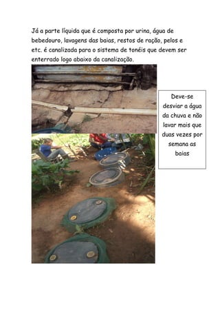 Já a parte líquida que é composta por urina, água de
bebedouro, lavagens das baias, restos de ração, pelos e
etc. é canalizada para o sistema de tonéis que devem ser
enterrado logo abaixo da canalização.
Deve-se
desviar a água
da chuva e não
lavar mais que
duas vezes por
semana as
baias
 