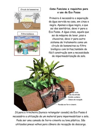 Como Funciona e requisitos para
o uso da Eco Fossa
Primeiro é necessário a separação
da água servida na casa, em cinza e
negra. Apenas a água negra, a que
sai dos sanitários, deve ir para a
Eco Fossa. A água cinza, aquela que
sai da máquina de lavar, pias e
chuveiros, deve ir para outro
sistema de tratamento como um
círculo de bananeiras ou filtro
biológico com britas,também de
fácil construção sem a necessidade
de impermeabilização do solo.
Círculo de bananeiras
Filtro biológico
Já para a trincheira (buraco retangular cavado) da Eco Fossa é
necessário a utilização de um material para impermeabilizar o solo.
Pode ser uma camada de ferro-cimento ou lona plástica. São
utilizados pneus velhos para câmara de recepção da descarga.
 