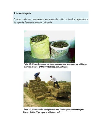 Armazenagem
O feno pode ser armazenado em sacos de rafia ou fardos dependendo
do tipo de forragem que foi utilizado.
Foto 14. Feno de capim-elefante armazenado em sacos de ráfia ou
plástico. Fonte: (http://infobibos.com/artigos).
Foto 15. Feno sendo transportado em fardos para armazenagem.
Fonte: (http://portuguese.alibaba.com).
 