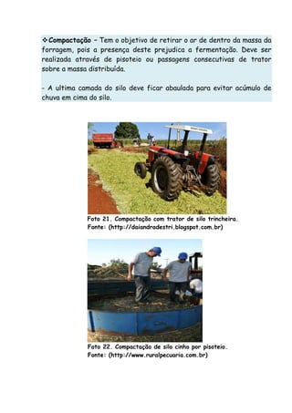Compactação – Tem o objetivo de retirar o ar de dentro da massa da
forragem, pois a presença deste prejudica a fermentação. Deve ser
realizada através de pisoteio ou passagens consecutivas de trator
sobre a massa distribuída.
- A ultima camada do silo deve ficar abaulada para evitar acúmulo de
chuva em cima do silo.
Foto 21. Compactação com trator de silo trincheira.
Fonte: (http://daiandradestri.blogspot.com.br)
Foto 22. Compactação de silo cinho por pisoteio.
Fonte: (http://www.ruralpecuaria.com.br)
 
