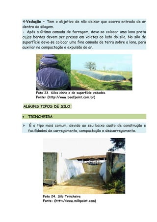 Vedação – Tem o objetivo de não deixar que ocorra entrada de ar
dentro da silagem.
- Após a última camada de forragem, deve-se colocar uma lona preta
cujas bordas devem ser presas em valetas ao lado do silo. No silo de
superfície deve-se colocar uma fina camada de terra sobre a lona, para
auxiliar na compactação e expulsão do ar.
Foto 23. Silos cinho e de superfície vedados.
Fonte: (http://www.beefpoint.com.br)
ALGUNS TIPOS DE SILO:
• TRINCHEIRA
É o tipo mais comum, devido ao seu baixo custo de construção e
facilidades de carregamento, compactação e descarregamento.
Foto 24. Silo Trincheira
Fonte: (httt://www.milkpoint.com)
 