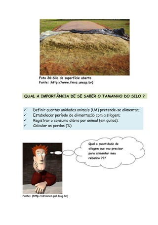 Foto 26:Silo de superfície aberto
Fonte: (http://www.fmvz.unesp.br)
QUAL A IMPORTÂNCIA DE SE SABER O TAMANHO DO SILO ?
Fonte: (http://driloren.pol.blog.br)
Definir quantas unidades animais (UA) pretende-se alimentar;
Estabelecer período de alimentação com a silagem;
Registrar o consumo diário por animal (em quilos);
Calcular as perdas (%)
Qual a quantidade de
silagem que vou precisar
para alimentar meu
rebanho ???
 