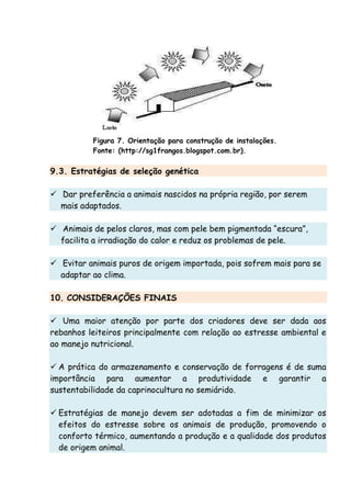 Figura 7. Orientação para construção de instalações.
Fonte: (http://sg1frangos.blogspot.com.br).
9.3. Estratégias de seleção genética
Dar preferência a animais nascidos na própria região, por serem
mais adaptados.
Animais de pelos claros, mas com pele bem pigmentada “escura”,
facilita a irradiação do calor e reduz os problemas de pele.
Evitar animais puros de origem importada, pois sofrem mais para se
adaptar ao clima.
10. CONSIDERAÇÕES FINAIS
Uma maior atenção por parte dos criadores deve ser dada aos
rebanhos leiteiros principalmente com relação ao estresse ambiental e
ao manejo nutricional.
A prática do armazenamento e conservação de forragens é de suma
importância para aumentar a produtividade e garantir a
sustentabilidade da caprinocultura no semiárido.
Estratégias de manejo devem ser adotadas a fim de minimizar os
efeitos do estresse sobre os animais de produção, promovendo o
conforto térmico, aumentando a produção e a qualidade dos produtos
de origem animal.
 
