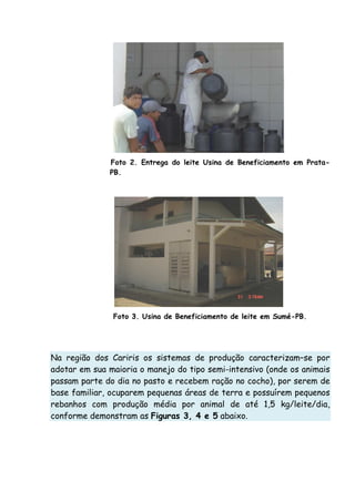 Foto 2. Entrega do leite Usina de Beneficiamento em Prata-
PB.
Foto 3. Usina de Beneficiamento de leite em Sumé-PB.
Na região dos Cariris os sistemas de produção caracterizam–se por
adotar em sua maioria o manejo do tipo semi-intensivo (onde os animais
passam parte do dia no pasto e recebem ração no cocho), por serem de
base familiar, ocuparem pequenas áreas de terra e possuírem pequenos
rebanhos com produção média por animal de até 1,5 kg/leite/dia,
conforme demonstram as Figuras 3, 4 e 5 abaixo.
 