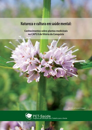 Naturezaeculturaemsaúdemental:
Conhecimentos sobre plantas medicinais
no CAPS II deVitória da Conquista
Mentha arvensis (vique)
 