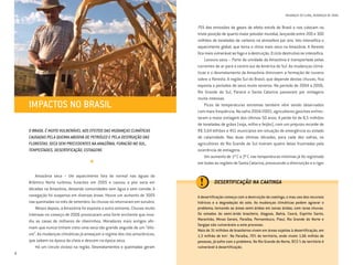 4
MUDANÇAS DO CLIMA, MUDANÇAS DE VIDAS
O BRASIL É MUITO VULNERÁVEL AOS EFEITOS DAS MUDANÇAS CLIMÁTICAS
CAUSADAS PELA QUEIMA ABUSIVA DE PETRÓLEO E PELA DESTRUIÇÃO DAS
FLORESTAS: SECA SEM PRECEDENTES NA AMAZÔNIA, FURACÃO NO SUL,
TEMPESTADES, DESERTIFICAÇÃO, ESTIAGENS
*
Amazônia seca – Um aquecimento fora do normal nas águas do
Atlântico Norte turbinou furacões em 2005 e causou a pior seca em
décadas na Amazônia, deixando comunidades sem água e sem comida. A
navegação foi suspensa em diversas áreas. Houve um aumento de 300%
nas queimadas no mês de setembro. As chuvas só retornaram em outubro.
Meses depois, a Amazônia foi exposta a outro extremo. Chuvas muito
intensas no começo de 2006 provocaram uma forte enchente que inva-
diu as casas de milhares de ribeirinhos. Moradores mais antigos afir-
mam que nunca tinham visto uma seca tão grande seguida de um “dilú-
vio”. As mudanças climáticas já ameaçam o regime dos rios amazônicos,
que sobem na época da cheia e descem na época seca.
Há um círculo vicioso na região. Desmatamentos e queimadas geram
75% das emissões de gases de efeito estufa do Brasil e nos colocam na
triste posição de quarto maior poluidor mundial, lançando entre 200 e 300
milhões de toneladas de carbono na atmosfera por ano. Isto intensifica o
aquecimento global, que torna o clima mais seco na Amazônia. A floresta
fica mais vulnerável ao fogo e à destruição. O ciclo destrutivo se intensifica.
Lavoura seca – Parte da umidade da Amazônia é transportada pelas
correntes de ar para o centro-sul da América do Sul. As mudanças climá-
ticas e o desmatamento da Amazônia diminuem a formação de nuvens
sobre a floresta. A região Sul do Brasil, que depende destas chuvas, fica
exposta a períodos de seca muito severos. No período de 2004 a 2006,
Rio Grande do Sul, Paraná e Santa Catarina passaram por estiagens
muito intensas.
Picos de temperaturas extremas também vêm sendo observados
com mais freqüência. Na safra 2004/2005, agricultores gaúchos enfren-
taram a maior estiagem dos últimos 50 anos. A perda foi de 8,5 milhões
de toneladas de grãos (soja, milho e feijão), com um prejuízo recorde de
R$ 3,64 bilhões e 451 municípios em situação de emergência ou estado
de calamidade. Nas duas últimas décadas, para cada dez safras, os
agricultores do Rio Grande do Sul tiveram quatro delas frustradas pela
ocorrência de estiagens.
Um aumento de 1º C a 3º C nas temperaturas mínimas já foi registrado
em todas as regiões de Santa Catarina, provocando a diminuição e o rigor
IMPACTOS NO BRASIL
DESERTIFICAÇÃO NA CAATINGA
A desertificação começa com a destruição da caatinga, o mau uso dos recursos
hídricos e a degradação do solo. As mudanças climáticas podem agravar o
problema, tornando as áreas semi-áridas em zonas áridas, com raras chuvas.
Os estados do semi-árido brasileiro, Alagoas, Bahia, Ceará, Espírito Santo,
Maranhão, Minas Gerais, Paraíba, Pernambuco, Piauí, Rio Grande do Norte e
Sergipe são vulneráveis a este processo.
Mais de 31 milhões de brasileiros vivem em áreas sujeitas à desertificação, em
1,3 milhão de km2
. Na Paraíba, 70% do território, onde vivem 1,66 milhão de
pessoas, já sofre com o problema. No Rio Grande do Norte, 97,5 % do território é
vulnerável à desertificação.
©RodrigoBaleia
Cartilha Clima 8/18/06 11:07 AM Page 4
 