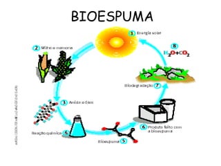 BIOESPUMA
• Erro Tipo I - probabilidade 0.05
• Erro Tipo II - probabilidade 0.1
• NQA - Nível de Qualidade Aceitável
• LTPD - Tolerância de porcentagem de
Defeitos
• Erro Tipo I - probabilidade 0.05
• Erro Tipo II - probabilidade 0.1
• NQA - Nível de Qualidade Aceitável
• LTPD - Tolerância de porcentagem de
Defeitos
 