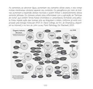 100
As sementes, ao absorver água, aumentam seu tamanho várias vezes, e isto rompe
muitas membranas celulares vazando seu conteúdo. Os patogênicos por meio de toxi-
nas aumentam a expansão destas necroses e podem limitar o desenvolvimento dessa
semente afetada. Os chineses evitam esta enfermidade com a aplicação de “farinhas
de rocha”, que contém Terras Raras (Actinídeos e Lantanídeos), formando uma pelícu-
la. Esta, impede ação das toxinas, pois as bloqueiam e inibem, conforme já está com-
provado pela biologia molecular (Prof. Dr. David Collinge, do KVL de Dinamarca, disponí-
vel na Internet) e no livro de John Lucas, Plant Pathology, Ed. Blackwell, 2001.
 