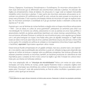 110
Glomus, Gigaspora, Acaulospora, Entrophospora e Scutellospora. Os micorrizos arbusculares for-
mam duas estruturas que se diferenciam dos ectomicorrizos: vesículas e plantas. As vesículas são
órgãos de armazenamento cheias de lipídeos. Os arbusculos é o lugar onde se realizam intercambio
metabólico entre micorrizos e plantas. A maior parte dos micorrizos vesiculares arbusculares se en-
contram nos primeiros 20 centímetros do perfil do solo, contudo às vezes possam se encontrar em
zonas mais profundas. O solo suporta comunidades inteiras de micorrizos em lugar de espécies isola-
das. Os micorrizos aumentam a solubilidade do P, já que excretam ácidos e estendem a área da raiz
exposta ao P do solo.
Supondo que o uso de farinhas de rochas facilitem a relação entre os fungos micorrízicos arbusculares
– HMA - com as raízes, no cultivo de arroz quilombola23
, peletizamos as sementes para obter sua
microbiolização. No momento da colheita, selecionamos no solo as plantas de arroz mais perfilhos e
desenvolvidos, também as plantas adventícias (daninhas) com estas mesmas características e fize-
mos as bonecas africanas. Bonecas no sentido de uma trouxinha de pano, como aquelas que se faziam
com o anil para branquear as roupas. Uma fralda velha, pano de algodão retangular ou “vual” recebe
todas as raízes e terra de cada mata de arroz o plantas adventícias (inços), isto dá mais o menos três
a cinco quilos. Em condições de carência de umidade os microrganismos (micorrizos, fungos saprófitos
e bactérias) esporulam. Esporulados aguentam vários meses.
Estas bonecas ficarão armazenadas em um galpão ventilado, mas seco, durante todo o ano esperan-
do o novo plantio, seja na peletização das sementes ou pode ser utilizada na água para dispersão das
esporas ao molhar as bonecas e aspergir sobre as plântulas emergentes. Nas bonecas africanas não
estavam presentes somente os micorrizos, também, as bactérias produtoras de sideróforos de vital
importância para o complexo do Ferro muito comum na região e que não é notada nos cultivos indus-
triais pelo uso intenso de herbicidas seletivos.
Uma nova adaptação são os “chouriços de microbiolizados” feitos com meias de nylon velhas,
recheadas com terra, farinha de rochas, carvão vegetal finamente moído e composto orgânico bem
fermentado, enterradas nas entrelinhas dos cultivos microbiolizados. Há a procura das raízes coloni-
zadas pelos “chouriços”, onde são posteriormente, ao final do cultivo recolhidos e guardados para o
próximo cultivo igual que as bonecas.
23
Oryza glaberrima de origem africana introduzido na América pelos escravos. Restaurado é cultivado nas populações quilombolas.
 