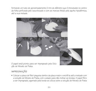 35
formando um tubo de aproximadamente 2 mm de diâmetro que é introduzido no centro
da folha perfurada pelo saca-bocado e com as marcas feitas pela agulha hipodérmica,
até a sua metade.
O papel está pronto para ser impregnado pela Solu-
ção de Nitrato de Prata.
IMPREGNAÇÃO
• Colocar a placa de Petri pequena dentro da placa maior e enchê-la até a metade com
a solução de Nitrato de Prata, com cuidado para não molhar as bordas. O papel filtro
a ser impregnado, agarrado pela borda se coloca sobre a solução de Nitrato de Prata
 