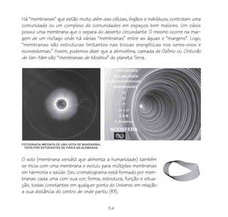 54
Há “membranas” que estão muito além das células, órgãos e indivíduos, controlam uma
comunidade ou um complexo de comunidades em espaços bem maiores. Um oásis
possui uma membrana que o separa do deserto circundante. O mesmo ocorre na mar-
gem de um rio/lago onde há várias “membranas” entre as águas e “margens”. Logo,
“membranas são estruturas limitantes nas trocas energéticas nos seres-vivos e
ecossistemas.” Assim, podemos dizer que a atmosfera, camada de Ozônio ou Cinturão
de Van Allen são “membranas de Moebius” do planeta Terra.
O solo (membrana versátil que alimenta a humanidade) também
se inicia com uma membrana e evoluiu para múltiplas membranas
em harmonia e saúde. Seu cromatograma está formado por mem-
branas cada uma com sua cor, forma, estrutura, função e situa-
ção, todas constantes em qualquer ponto do Universo em relação
a sua distância do centro de onde partiu (Rf).
 