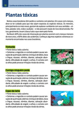 Cartilha de Acidentes Domésticos Infantis12
Plantas tóxicas
Muitas casas brasileiras têm jardins e canteiros com plantas. Em casas com crianças,
deve-se ter cuidado para que não sejam expostas às espécies tóxicas. Os menores,
principalmente os mais novos, gostam de explorar o ambiente com seus sentidos – ol-
fato, paladar, tato, visão e audição – e não possuem noção de risco desenvolvida. Por
isso, geralmente, levam à boca tudo o que veem pela frente.
No Brasil, 60% dos casos de intoxicação por plantas ocorrem com crianças menores
de nove anos, e 80% deles são acidentais. Conheças algumas espécies venenosas co-
mumente encontradas nas casas brasileiras:
Tinhorão
• Parte tóxica: toda a planta;
• Sintomas: a ingestão e o contato podem causar sen-
saçãodequeimação;edemas(inchaço)delábios,boca
e língua; náuseas, vômitos, diarreia, salivação abun-
dante, dificuldade de engolir e asfixia. O contato com
os olhos pode provocar irritação e lesão da córnea.
Comigo-ninguém-pode
• Parte tóxica: toda a planta;
• Sintomas: a ingestão e o contato podem causar sen-
saçãodequeimação;edemas(inchaço)delábios,boca
e língua; náuseas, vômitos, diarreia, salivação abun-
dante, dificuldade de engolir e asfixia; o contato com
os olhos pode provocar irritação e lesão da córnea.
Copo-de-leite
• Parte tóxica: toda a planta;
• Sintomas: a ingestão e o contato podem causar sen-
saçãodequeimação;edemas(inchaço)delábios,boca
e língua; náuseas, vômitos, diarreia, salivação abun-
dante, dificuldade de engolir e asfixia; o contato com
os olhos pode provocar irritação e lesão da córnea.
 