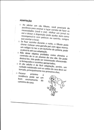 Cartilha de adoção0001