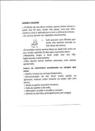 Cartilha de adoção0001