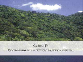 CAPÍTULO IV
PROCEDIMENTOS PARA A OBTENÇÃO DA LICENÇA AMBIENTAL
 