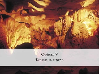 CAPÍTULO V
ESTUDOS AMBIENTAIS
 