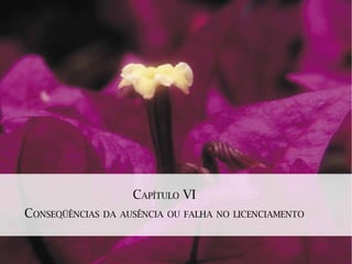 CAPÍTULO VI
CONSEQÜÊNCIAS DA AUSÊNCIA OU FALHA NO LICENCIAMENTO
 