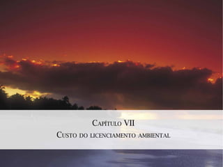 CAPÍTULO VII
CUSTO DO LICENCIAMENTO AMBIENTAL
 