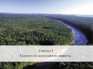 CAPÍTULO I
CONCEITO DE LICENCIAMENTO AMBIENTAL
 