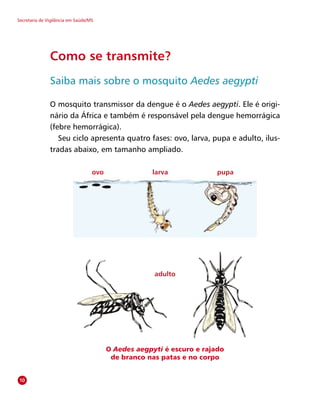 Secretaria de Vigilância em Saúde/MS
Como se transmite?
Saiba mais sobre o mosquito Aedes aegypti
O mosquito transmissor da dengue é o Aedes aegypti. Ele é origi-
nário da África e também é responsável pela dengue hemorrágica
(febre hemorrágica).
Seu ciclo apresenta quatro fases: ovo, larva, pupa e adulto, ilus-
tradas abaixo, em tamanho ampliado.
ovo pupalarva
adulto
O Aedes aegpyti é escuro e rajado
de branco nas patas e no corpo
10
 