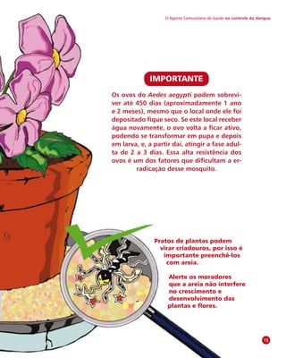 O Agente Comunitário de Saúde no controle da dengue
IMPORTANTE
Os ovos do Aedes aegypti podem sobrevi-
ver até 450 dias (aproximadamente 1 ano
e 2 meses), mesmo que o local onde ele foi
depositado fique seco. Se este local receber
água novamente, o ovo volta a ficar ativo,
podendo se transformar em pupa e depois
em larva, e, a partir daí, atingir a fase adul-
ta de 2 a 3 dias. Essa alta resistência dos
ovos é um dos fatores que dificultam a er-
radicação desse mosquito.
15
Pratos de plantas podem
virar criadouros, por isso é
importante preenchê-los
com areia.
Alerte os moradores
que a areia não interfere
no crescimento e
desenvolvimento das
plantas e flores.
 