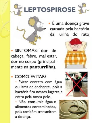 LEPTOSPIROSE 
É uma doença grave 
causada pela bactéria 
da urina do rato 
SINTOMAS: dor de 
cabeça, febre, mal estar, 
dor no corpo (principal- 
mente na panturrilha). 
COMO EVITAR? 
◦Evitar contato com água 
ou lama de enchente, pois a 
bactéria fica nesses lugares e 
entra pela nossa pele. 
◦Não consumir água e 
alimentos contaminados, 
pois também transmitem 
a doença. 
 