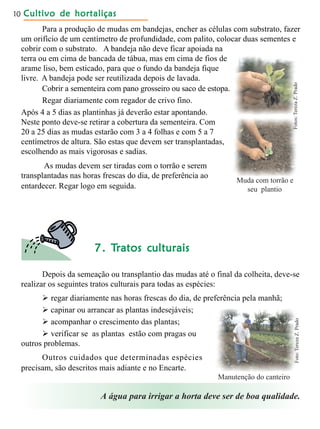 Cultivo de hortaliçasCultivo de hortaliçasCultivo de hortaliçasCultivo de hortaliçasCultivo de hortaliças10
Para a produção de mudas em bandejas, encher as células com substrato, fazer
um orifício de um centímetro de profundidade, com palito, colocar duas sementes e
cobrir com o substrato. A bandeja não deve ficar apoiada na
terra ou em cima de bancada de tábua, mas em cima de fios de
arame liso, bem esticado, para que o fundo da bandeja fique
livre. A bandeja pode ser reutilizada depois de lavada.
Cobrir a sementeira com pano grosseiro ou saco de estopa.
Regar diariamente com regador de crivo fino.
Após 4 a 5 dias as plantinhas já deverão estar apontando.
Neste ponto deve-se retirar a cobertura da sementeira. Com
20 a 25 dias as mudas estarão com 3 a 4 folhas e com 5 a 7
centímetros de altura. São estas que devem ser transplantadas,
escolhendo as mais vigorosas e sadias.
As mudas devem ser tiradas com o torrão e serem
transplantadas nas horas frescas do dia, de preferência ao
entardecer. Regar logo em seguida.
Muda com torrão e
seu plantio
77777. T. T. T. T. Tratos culturaisratos culturaisratos culturaisratos culturaisratos culturais
Depois da semeação ou transplantio das mudas até o final da colheita, deve-se
realizar os seguintes tratos culturais para todas as espécies:
 regar diariamente nas horas frescas do dia, de preferência pela manhã;
 capinar ou arrancar as plantas indesejáveis;
 acompanhar o crescimento das plantas;
 verificar se as plantas estão com pragas ou
outros problemas.
Outros cuidados que determinadas espécies
precisam, são descritos mais adiante e no Encarte.
Manutenção do canteiro
A água para irrigar a horta deve ser de boa qualidade.
Foto:TerezaZ.PradoFotos:TerezaZ.Prado
 
