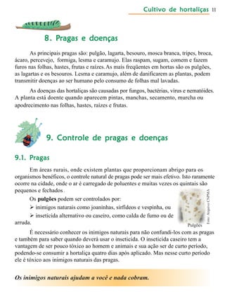 Cultivo de hortaliçasCultivo de hortaliçasCultivo de hortaliçasCultivo de hortaliçasCultivo de hortaliças 11
88888. P. P. P. P. Pragas e doençasragas e doençasragas e doençasragas e doençasragas e doenças
As principais pragas são: pulgão, lagarta, besouro, mosca branca, tripes, broca,
ácaro, percevejo, formiga, lesma e caramujo. Elas raspam, sugam, comem e fazem
furos nas folhas, hastes, frutas e raízes.As mais freqüentes em hortas são os pulgões,
as lagartas e os besouros. Lesma e caramujo, além de danificarem as plantas, podem
transmitir doenças ao ser humano pelo consumo de folhas mal lavadas.
As doenças das hortaliças são causadas por fungos, bactérias, vírus e nematóides.
A planta está doente quando aparecem pintas, manchas, secamento, murcha ou
apodrecimento nas folhas, hastes, raízes e frutas.
9. Controle de pragas e doenças9. Controle de pragas e doenças9. Controle de pragas e doenças9. Controle de pragas e doenças9. Controle de pragas e doenças
9.1. P9.1. P9.1. P9.1. P9.1. Pragasragasragasragasragas
Em áreas rurais, onde existem plantas que proporcionam abrigo para os
organismos benéficos, o controle natural de pragas pode ser mais efetivo. Isto raramente
ocorre na cidade, onde o ar é carregado de poluentes e muitas vezes os quintais são
pequenos e fechados.
Os pulgões podem ser controlados por:
 inimigos naturais como joaninhas, sirfídeos e vespinha, ou
 inseticida alternativo ou caseiro, como calda de fumo ou de
arruda.
É necessário conhecer os inimigos naturais para não confundi-los com as pragas
e também para saber quando deverá usar o inseticida. O inseticida caseiro tem a
vantagem de ser pouco tóxico ao homem e animais e sua ação ser de curto período,
podendo-se consumir a hortaliça quatro dias após aplicado. Mas nesse curto período
ele é tóxico aos inimigos naturais das pragas.
Os inimigos naturais ajudam a você e nada cobram.
Pulgões
Foto:ArquivoCNPMA
 