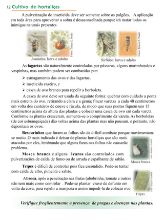 Cultivo de hortaliçasCultivo de hortaliçasCultivo de hortaliçasCultivo de hortaliçasCultivo de hortaliças12
A pulverização do inseticida deve ser somente sobre os pulgões. A aplicação
em toda área para aproveitar a sobra é desaconselhada porque irá matar todos os
inimigos naturais presentes.
Joaninha: larva e adulto Sirfídeo: larva e adulto
As lagartas são naturalmente controladas por pássaros, alguns marimbondos e
vespinhas, mas também podem ser combatidas por:
 esmagamento dos ovos e das lagartas,
 inseticida caseiro, e
 casca de ovo branco para repelir a borboleta.
A casca de ovo deve ser usada da seguinte forma: quebrar com cuidado a ponta
mais estreita do ovo, retirando a clara e a gema; fincar varetas a cada 40 centímetros
em volta dos canteiros de couve e rúcula, de modo que suas pontas fiquem uns 15
centímetros acima da altura das plantas e colocar uma casca de ovo em cada vareta.
Conforme as plantas crescerem, aumenta-se o comprimento da vareta. As borboletas
(de cor esbranquiçada) dão voltas acima das plantas mas não pousam, e portanto, não
depositam os ovos.
Besourinhos que furam as folhas são de difícil combate porque movimentam-
se muito. O mais indicado é deixar de plantar hortaliças que são muito
atacadas por eles, lembrando que alguns furos nas folhas não causarão
problema.
Mosca branca e alguns ácaros são controlados com
pulverizações de calda de fumo ou de arruda e espalhante de sabão.
Tripes é difícil de controlar pois fica escondido. Pode-se tentar
com calda de alho, pimenta e sabão.
Abroca, após a penetração nas frutas (abobrinha, tomate e outras)
não tem mais como controlar . Pode-se plantar cravo de defunto em
volta da cova, para repelir a mariposa e assim impedi-la de colocar ovos.
Verifique freqüentemente a presença de pragas e doenças nas plantas.
Mosca branca
Tripes
Fotos:TerezaZ.Prado
Fotos:TerezaZ.Prado
Foto:ArquivoCNPMAFoto:ArquivoCNPMA
 