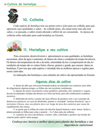 Cultivo de hortaliçasCultivo de hortaliçasCultivo de hortaliçasCultivo de hortaliçasCultivo de hortaliças16
10. Colheita10. Colheita10. Colheita10. Colheita10. Colheita
Cada espécie de hortaliça tem seu ponto certo e jeito para ser colhida, para que
apresente suas qualidades e sabor . Se colhida antes, ela estará tenra mas não terá
sabor, e se passada, o sabor estará alterado e difícil de ser consumida. As épocas de
colheita estão indicadas para cada hortaliça no Encarte.
11. Hortaliças e seu cultivo11. Hortaliças e seu cultivo11. Hortaliças e seu cultivo11. Hortaliças e seu cultivo11. Hortaliças e seu cultivo
Para crescerem, desenvolverem e apresentarem as suas qualidades, as hortaliças
necessitam, além da água e nutrientes, de fatores do clima e condições do tempo favoráveis.
Os fatores são temperatura do dia e da noite, intensidade da luz e comprimento do dia.As
condições do tempo são os ventos fortes, chuvas, granizo e geada, que causam danos às
hortaliças. É por isso que cada espécie e variedade têm as melhores épocas e regiões para
serem cultivadas.
As indicações das hortaliças e seus métodos de cultivo são apresentadas no Encarte.
 dentes de alho que estiverem brotando podem ser plantados nos canteiros, pois além
de afugentarem algumas pragas, as folhas são um excelente condimento;
 plantas de maior crescimento como quiabeiro, pimentão, jiló, tomateiro e vagem,
devem ser plantadas isoladas das demais ou à beira da horta, para não sombrearem as plantas
menores;
 abobrinha de moita e tomate são mais difíceis de produzir sem o uso constante de
defensivos químicos; no caso de abobrinha, plantar a variedade “menina brasileira” que é
resistente à broca, mas seu plantio deve ser longe da área dos canteiros por causa do
espalhamento das ramas;
 se quiser que as folhas do centro da chicória fiquem brancas e mais tenras, fechar a
planta juntando as folhas para cima e amarrar , 4 a 5 dias antes da colheita;
 o plantio de cravo-de-defunto, coentro, alho, cebolinha e gerânio nas bordas do
canteiro pode repelir várias pragas.
Conheça nos Anexos a melhor época para plantio das hortaliças e sua
importância nutricional.
Algumas dicas de cultivoAlgumas dicas de cultivoAlgumas dicas de cultivoAlgumas dicas de cultivoAlgumas dicas de cultivo
 