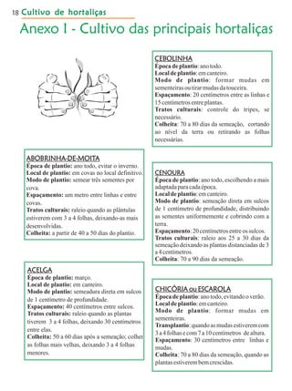 Cultivo de hortaliçasCultivo de hortaliçasCultivo de hortaliçasCultivo de hortaliçasCultivo de hortaliças18
 
