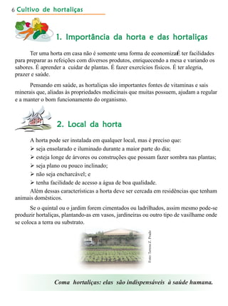 Cultivo de hortaliçasCultivo de hortaliçasCultivo de hortaliçasCultivo de hortaliçasCultivo de hortaliças6
1. Importância da horta e das hortaliças1. Importância da horta e das hortaliças1. Importância da horta e das hortaliças1. Importância da horta e das hortaliças1. Importância da horta e das hortaliças
Ter uma horta em casa não é somente uma forma de economizar. É ter facilidades
para preparar as refeições com diversos produtos, enriquecendo a mesa e variando os
sabores. É aprender a cuidar de plantas. É fazer exercícios físicos. É ter alegria,
prazer e saúde.
Pensando em saúde, as hortaliças são importantes fontes de vitaminas e sais
minerais que, aliadas às propriedades medicinais que muitas possuem, ajudam a regular
e a manter o bom funcionamento do organismo.
2. Local da horta2. Local da horta2. Local da horta2. Local da horta2. Local da horta
A horta pode ser instalada em qualquer local, mas é preciso que:
 seja ensolarado e iluminado durante a maior parte do dia;
 esteja longe de árvores ou construções que possam fazer sombra nas plantas;
 seja plano ou pouco inclinado;
 não seja encharcável; e
 tenha facilidade de acesso a água de boa qualidade.
Além dessas características a horta deve ser cercada em residências que tenham
animais domésticos.
Se o quintal ou o jardim forem cimentados ou ladrilhados, assim mesmo pode-se
produzir hortaliças, plantando-as em vasos, jardineiras ou outro tipo de vasilhame onde
se coloca a terra ou substrato.
Coma hortaliças: elas são indispensáveis à saúde humana.
Foto:TerezaZ.Prado
 