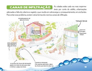 As cidades estão cada vez mais imperme-
     Canais de infiltração
                                                               áveis por conta do asfalto, urbanizações
adensadas e falta de cobertura vegetal, o que resulta em sobrecarga e, consequentemente, em enchentes.
Para evitar esse problema, existem várias formas de criarmos canais de infiltração.
                    Armazenamento de
                      água da chuva
                                                                                         Telhado Verde




                                                                                              Substrato
                                           Jardim rebaixado
                                          para reter e infiltrar                              Drenagem
                                             água da chuva                                    Impermeabi-
                                                                                              lização




 Solo permeável
 para infiltrar a
 água da chuva




                                                 Canteiros drenantes
      os jardins de chuva são escavados
                                                 com plantas absorvem a água
     abaixo do nível do solo para reter
                                                 da chuva que escorre pela rua
     e infiltrar a água da chuva                                                                     19
 