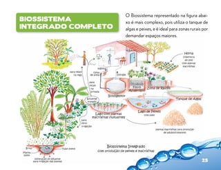 O Biossistema representado na figura abai-
BiosSistema          xo é mais complexo, pois utiliza o tanque de
Integrado completo   algas e peixes, e é ideal para zonas rurais por
                     demandar espaços maiores.




                                                                25
 