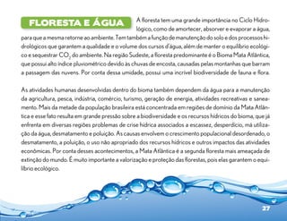 A floresta tem uma grande importância no Ciclo Hidro-
   floresta e água
                                                 lógico, como de amortecer, absorver e evaporar a água,
para que a mesma retorne ao ambiente. Tem também a função de manutenção do solo e dos processos hi-
drológicos que garantem a qualidade e o volume dos cursos d’água, além de manter o equilíbrio ecológi-
co e sequestrar CO2 do ambiente. Na região Sudeste, a floresta predominante é o Bioma Mata Atlântica,
que possui alto índice pluviométrico devido às chuvas de encosta, causadas pelas montanhas que barram
a passagem das nuvens. Por conta dessa umidade, possui uma incrível biodiversidade de fauna e flora.

As atividades humanas desenvolvidas dentro do bioma também dependem da água para a manutenção
da agricultura, pesca, indústria, comércio, turismo, geração de energia, atividades recreativas e sanea-
mento. Mais da metade da população brasileira está concentrada em regiões de domínio da Mata Atlân-
tica e esse fato resulta em grande pressão sobre a biodiversidade e os recursos hídricos do bioma, que já
enfrenta em diversas regiões problemas de crise hídrica associados a escassez, desperdício, má utiliza-
ção da água, desmatamento e poluição. As causas envolvem o crescimento populacional desordenado, o
desmatamento, a poluição, o uso não apropriado dos recursos hídricos e outros impactos das atividades
econômicas. Por conta desses acontecimentos, a Mata Atlântica é a segunda floresta mais ameaçada de
extinção do mundo. É muito importante a valorização e proteção das florestas, pois elas garantem o equi-
líbrio ecológico.




                                                                                                     27
 
