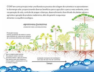 O SAF tem como princípio imitar uma floresta no processo de ciclagem de nutrientes e no aproveitamen-
to da energia solar, proporcionando diversos benefícios para o agricultor e para o meio ambiente, como
recuperação do solo, controle de pragas e doenças, desenvolvimento diversificado de plantas nativas e
agrícolas e geração de produtos madeireiros, além de garantir a segurança
alimentar e o equilíbrio ecológico.




                                                                                                  29
 