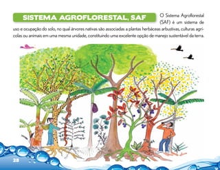 O Sistema Agroflorestal
(SAF) é um sistema de
uso e ocupação do solo, no qual árvores nativas são associadas a plantas herbáceas arbustivas, culturas agrí-
colas ou animais em uma mesma unidade, constituindo uma excelente opção de manejo sustentável da terra.
Sistema Agroflorestal, SAF
28
 