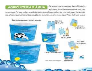 De acordo com os dados do Banco Mundial, a
agricultura é uma das atividades que mais con-
somem água. Por esse motivo, as práticas de uso racional na agricultura são essenciais para evitar a escas-
sez. O sistema convencional de produção dos alimentos consome muita água. Veja a ilustração abaixo:
Agricultura e água
30
 