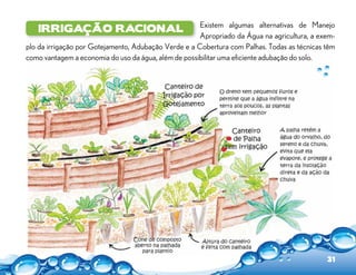 Existem algumas alternativas de Manejo
Apropriado da Água na agricultura, a exem-
plo da irrigação por Gotejamento, Adubação Verde e a Cobertura com Palhas. Todas as técnicas têm
como vantagem a economia do uso da água, além de possibilitar uma eficiente adubação do solo.
irrigação racional
31
 
