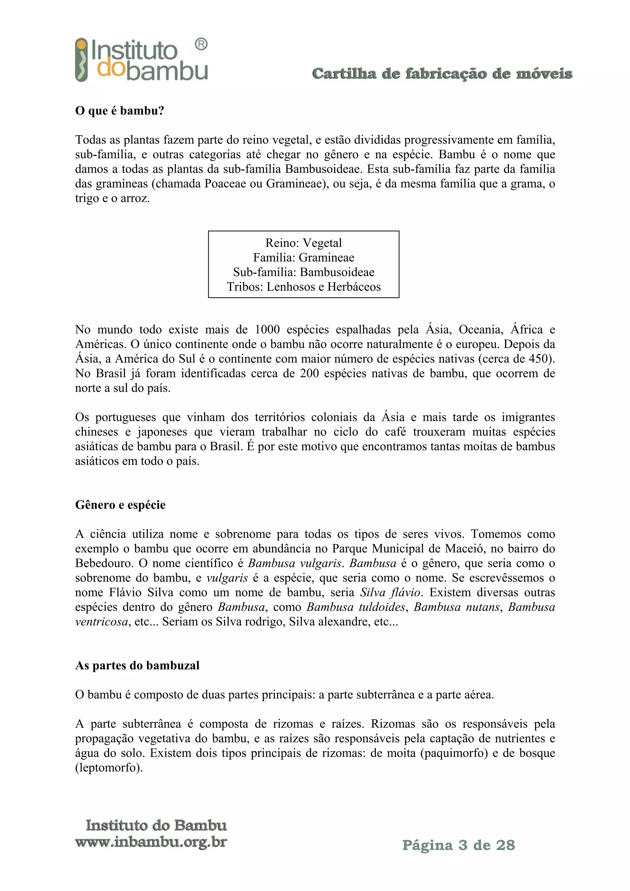 O que é bambu?
Todas as plantas fazem parte do reino vegetal, e estão divididas progressivamente em família,
sub-família, e outras categorias até chegar no gênero e na espécie. Bambu é o nome que
damos a todas as plantas da sub-família Bambusoideae. Esta sub-família faz parte da família
das gramíneas (chamada Poaceae ou Gramineae), ou seja, é da mesma família que a grama, o
trigo e o arroz.
Reino: Vegetal
Família: Gramineae
Sub-família: Bambusoideae
Tribos: Lenhosos e Herbáceos
No mundo todo existe mais de 1000 espécies espalhadas pela Ásia, Oceania, África e
Américas. O único continente onde o bambu não ocorre naturalmente é o europeu. Depois da
Ásia, a América do Sul é o continente com maior número de espécies nativas (cerca de 450).
No Brasil já foram identificadas cerca de 200 espécies nativas de bambu, que ocorrem de
norte a sul do país.
Os portugueses que vinham dos territórios coloniais da Ásia e mais tarde os imigrantes
chineses e japoneses que vieram trabalhar no ciclo do café trouxeram muitas espécies
asiáticas de bambu para o Brasil. É por este motivo que encontramos tantas moitas de bambus
asiáticos em todo o país.
Gênero e espécie
A ciência utiliza nome e sobrenome para todas os tipos de seres vivos. Tomemos como
exemplo o bambu que ocorre em abundância no Parque Municipal de Maceió, no bairro do
Bebedouro. O nome científico é Bambusa vulgaris. Bambusa é o gênero, que seria como o
sobrenome do bambu, e vulgaris é a espécie, que seria como o nome. Se escrevêssemos o
nome Flávio Silva como um nome de bambu, seria Silva flávio. Existem diversas outras
espécies dentro do gênero Bambusa, como Bambusa tuldoides, Bambusa nutans, Bambusa
ventricosa, etc... Seriam os Silva rodrigo, Silva alexandre, etc...
As partes do bambuzal
O bambu é composto de duas partes principais: a parte subterrânea e a parte aérea.
A parte subterrânea é composta de rizomas e raízes. Rizomas são os responsáveis pela
propagação vegetativa do bambu, e as raízes são responsáveis pela captação de nutrientes e
água do solo. Existem dois tipos principais de rizomas: de moita (paquimorfo) e de bosque
(leptomorfo).

Página 3 de 28

 