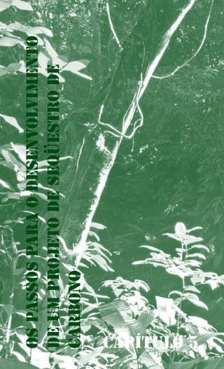 Capítulo 5
Ospassosparaodesenvolvimento
deumProjetodeSeqüestrode
Carbono
 